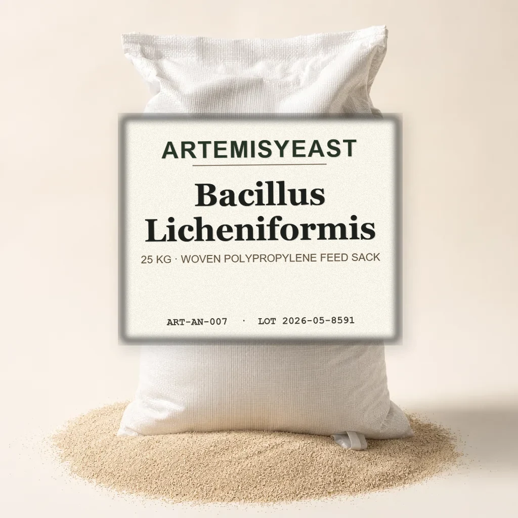 Feed-Grade Bacillus Licheniformis Spores for Nutrition